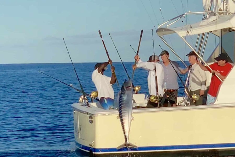 Fishing in Turks and Caicos, How to Reel in the Big One!