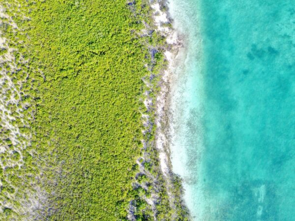 Mangrove Cay, Kayaking and Paddleboarding in Turks and Caicos