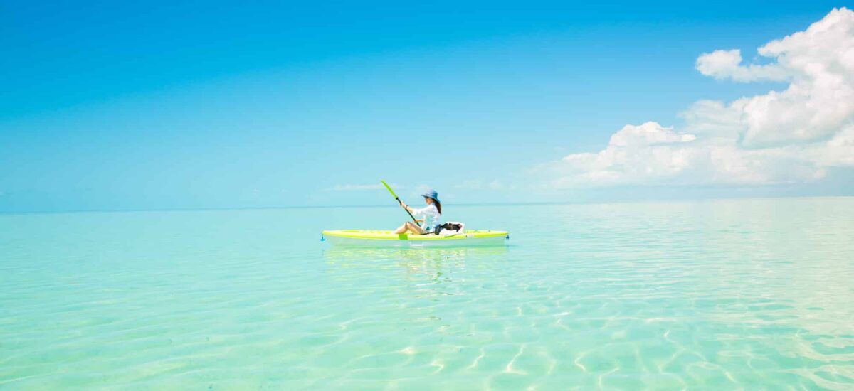 Paradise Photography 6871