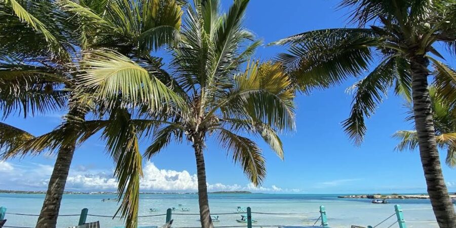 Best Beach Bars & Restaurants in Turks and Caicos